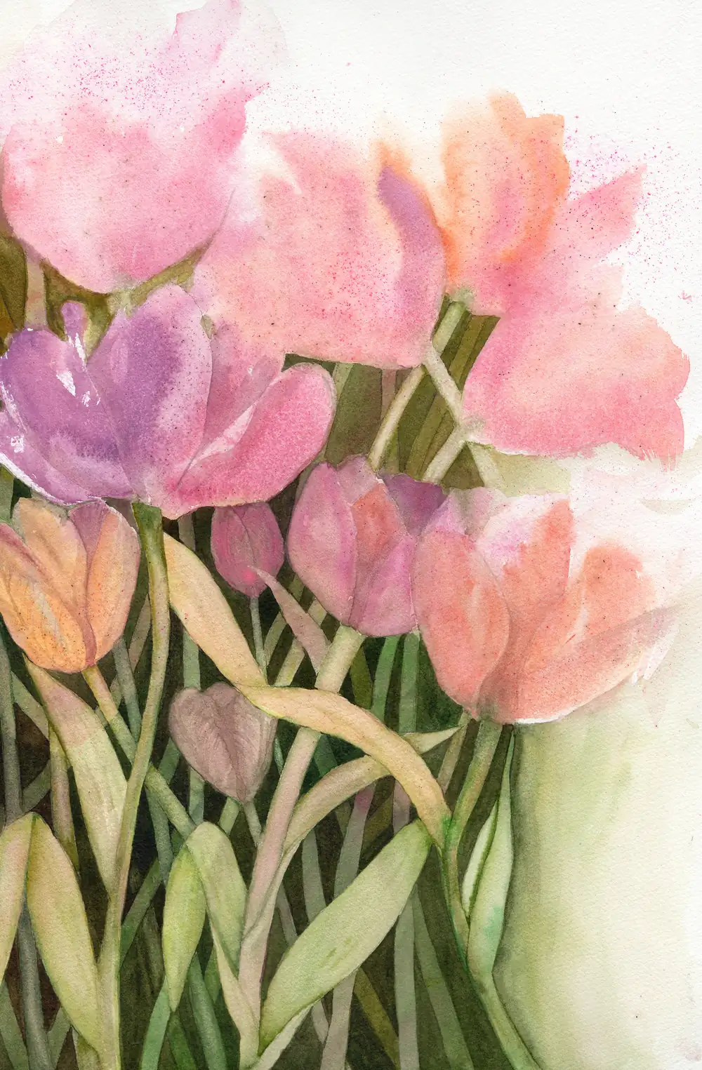 Tulipan1_Yamila_Gorrin